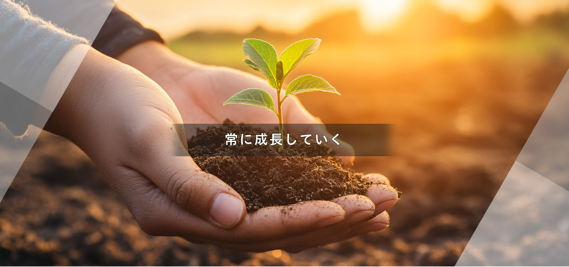 常に成長していく